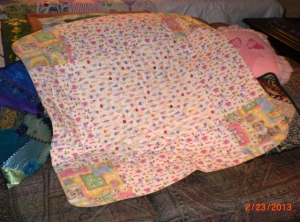 2013-02-26 cuddle quilt
